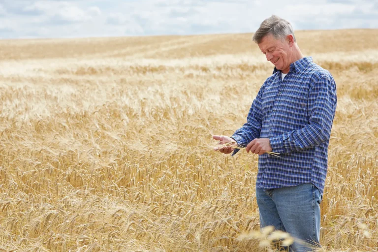 Active Financial Management About You Retirees, Pre-Retirees and Business Owners